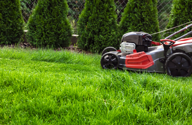 Horaires tonte pelouse réglementation 2022